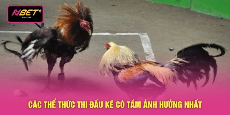 Các thể thức thi đấu kê có tầm ảnh hưởng nhất