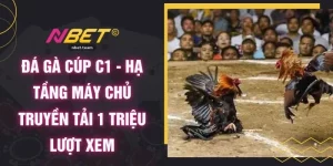 Đá Gà Cúp C1 - Hạ Tầng Máy Chủ Truyền Tải 1 Triệu Lượt Xem