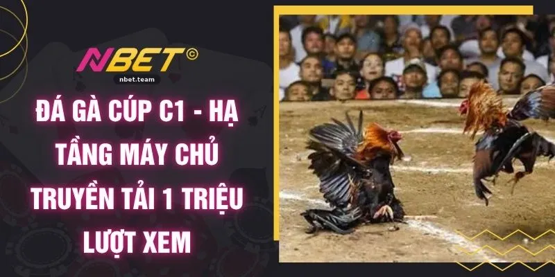 Đá Gà Cúp C1 - Hạ Tầng Máy Chủ Truyền Tải 1 Triệu Lượt Xem