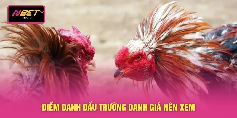 Điểm danh đấu trường danh giá nên xem