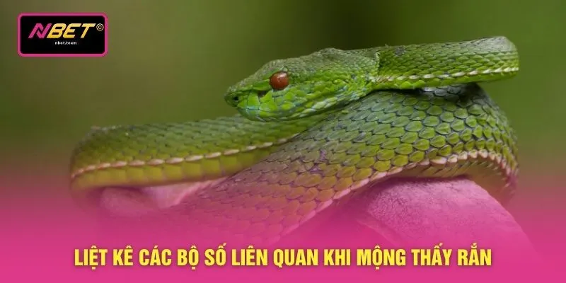 Liệt kê các bộ số liên quan khi mộng thấy rắn