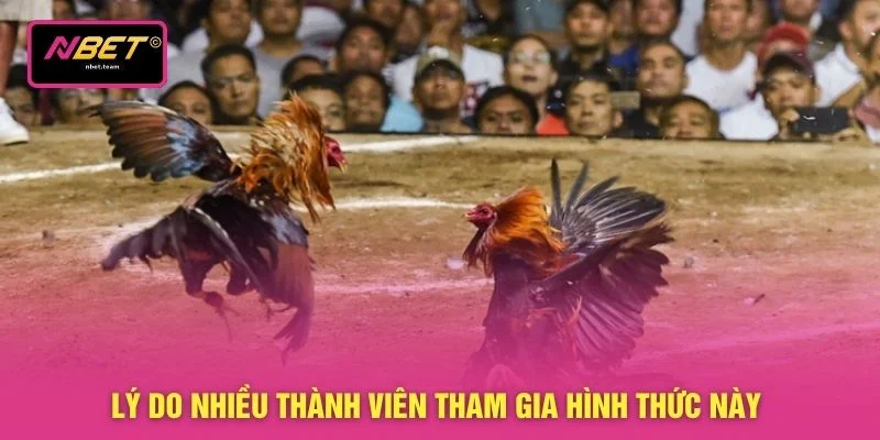 Lý do nhiều thành viên tham gia hình thức này