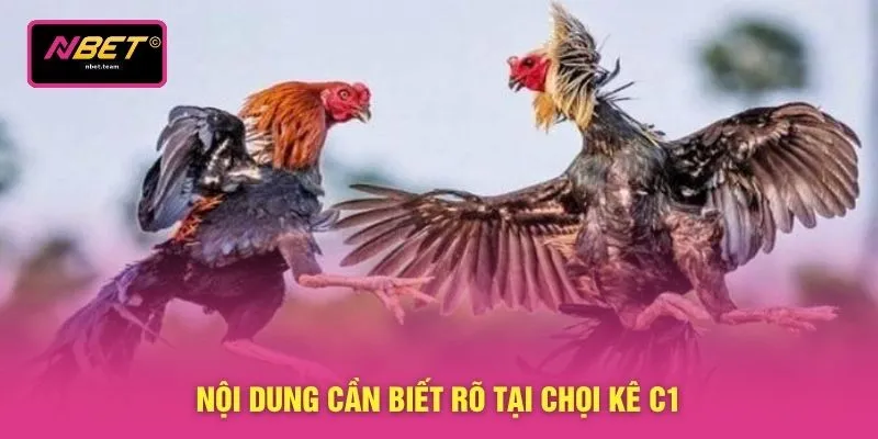 Nội dung cần biết rõ tại chọi kê C1