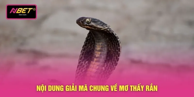 Nội dung giải mã chung về mơ thấy rắn