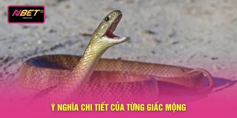 Ý nghĩa chi tiết của từng giấc mộng